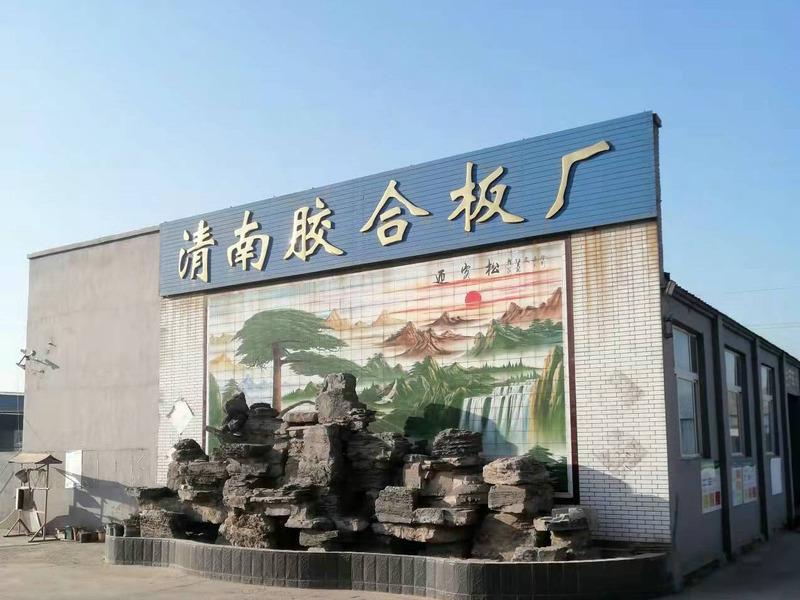 Verified China supplier - Wen 'an County Qingnan Building Template Factory