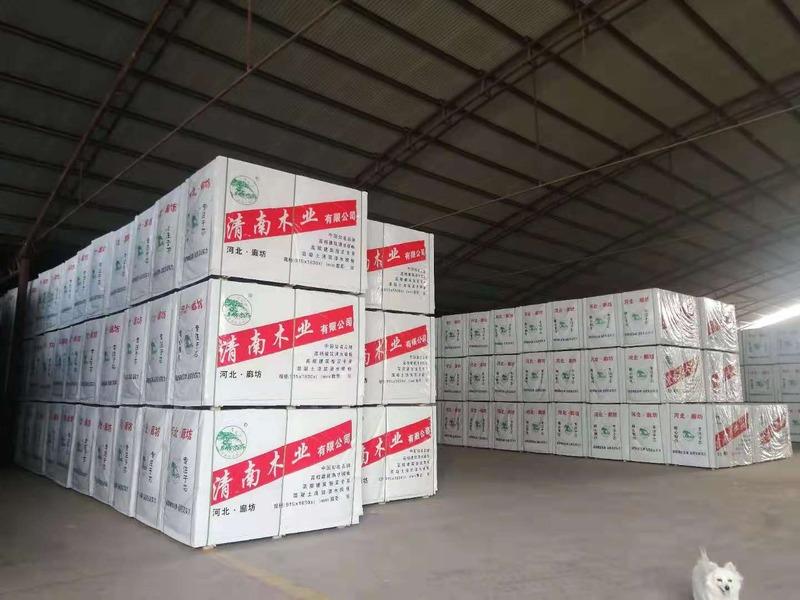 Verified China supplier - Wen 'an County Qingnan Building Template Factory