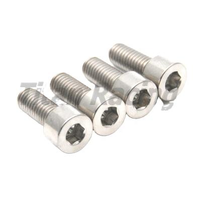 China Ti 6AL-4V GR 5 Titanium Bolt M8x1.25 DIN912 Head Hex Motorcycle Bike Ti Screw for sale