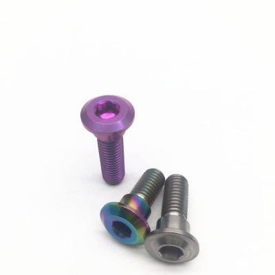 China Titanium Motorcycle GR5 m8 x25mm Motorcycle Disc Bolts For BMW for sale