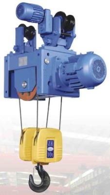 China Metallurgy Industry Light Duty Electric Crane Hoist 10 Ton 220 - 600V 50 / 60Hz for sale