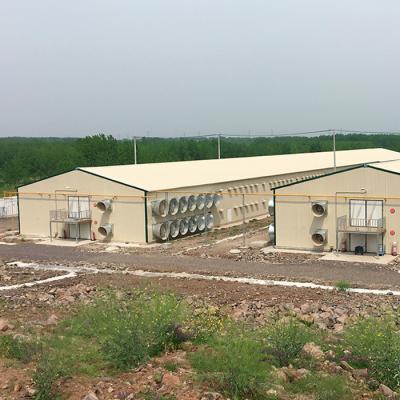 China Wareshouse 2019 New Design Prefab Steel Structure Poultry Farm Building Shed Chicken Broiler House Design for sale