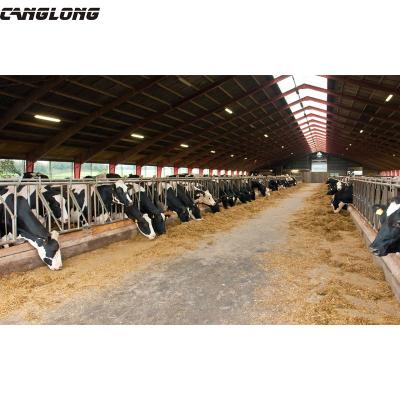 China Grade Q235/Q345/Q355 Timber Frame Building Steel Galvanized Rapid Prefab Houses Cloth Cow Barns for sale