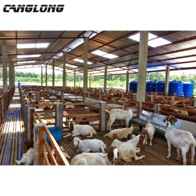 China Sheep Shed Lightweight Steel Structure Sheep Shed Cattle Farm Cow Shed Construction for sale