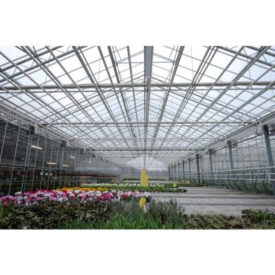 China High quality herbs multi-span glass greenhouse with hydroponic system for agriculture price for sale