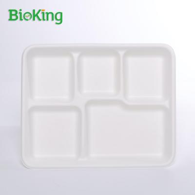 China Oil repellent; BioKing Sugar Cane Water Repellent Bagasse Pulp Food 5compartment Biodegradable & Compostable Disposable Tray for sale