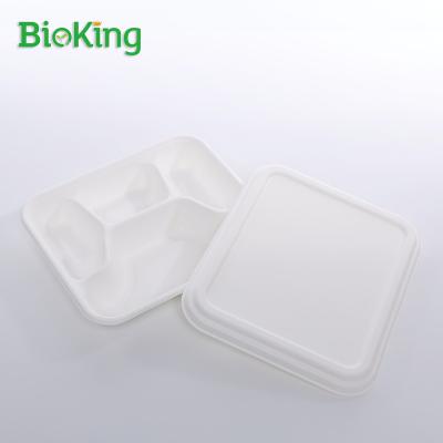 China Oil repellent; BioKing BioKing Biodegradable and Compostable Disposable Sugar Cane Water Repellent Food Kids Bagasse Pulp Container for sale