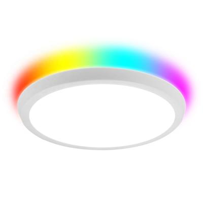 China Modern New Design Variable Surface Mounted WIFI TDC 2700-6500K+RGB Smart Control Led Ceiling Panel Light Behind With RGB Strips for sale