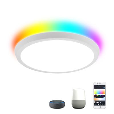 China Modern TDC and alexa smart full color flush mount ceiling lights 35w led ceiling light for outdoor bedroom celing light for sale