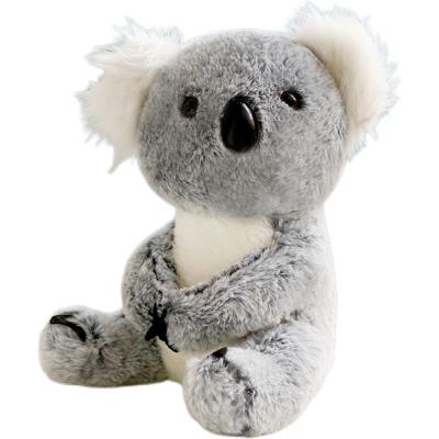 China Australian Plush 17cm Mascot Phascolarctos Cinereus Doll Forest Animals National Treasure Koala Plush Toy for sale