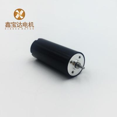 China Totally Enclosed Totally Enclosed Low Vibration 12V DC Motor Tattoo Pen Replace Portescap Brush DC Motor Shenzhen for sale