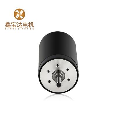 China Other 40mm Well Made DC Motor 24v Garden Tool Motor for sale