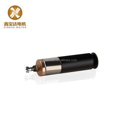 China Other 13mm micro dc planetary gear motor 24v coreless robot motor for sale