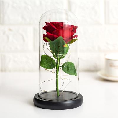 China Artificial Flower Rose Gift Decoration Bedroom Red Glass Beauty and the Beast Rose Flower Led Light String on Demo Glass for sale