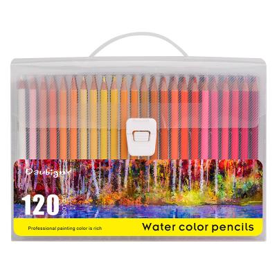 China Poplar Wood Professional Customized 120 Colors Water Soluble Nature Poplar Wood Colored Pencil Set Both For Beginners And Artist for sale