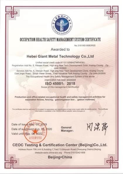 Occupation Health saffty Management system certificate - Hebei Giant Metal Technology co.,ltd