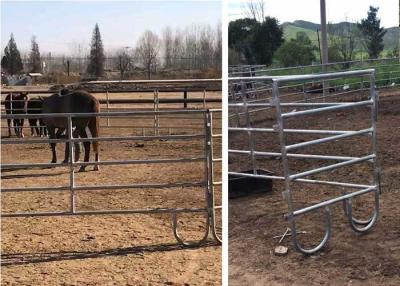 Chine L'immersion chaude soudée par tuyau rond a galvanisé la barrière Panels de cheval 2.5x2m à vendre