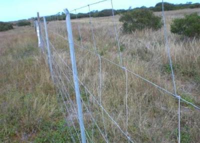 Chine Haute galvanisée 150mm Mesh Sheep Livestock Panels de 0.8m tissée par fil à vendre