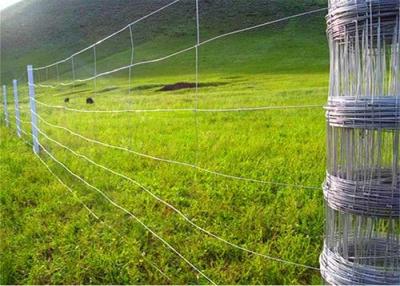 China Tier Landwirtschaft 150mm Scharnier Gelenk Zaun heiß getaucht galvanisiertes Stahldrahtnetz zu verkaufen