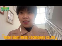 Hebei Giant Metal Technology Co., Ltd. - Security Fence Factory