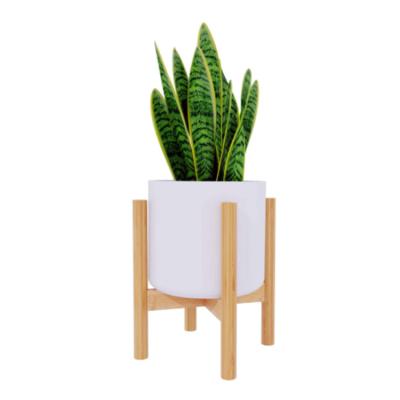 China Eco-friendly modern natural plant stand display flower pot stand suitable for home plant house decoration for sale