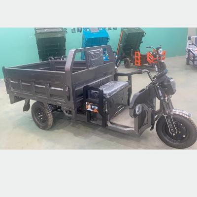 China Cargo Passenger Transport Tricycle Transport Tricycle Freight and Transportation for sale