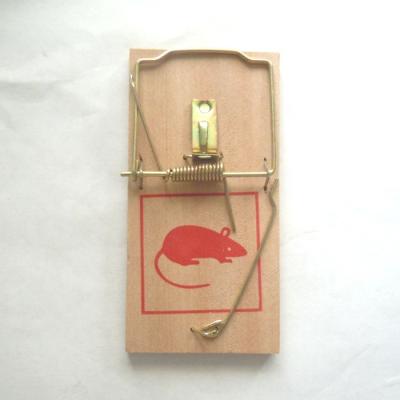 China Hot Sales Wooden Stocked Rat Traps Mice Snap Traps China Supplier for sale