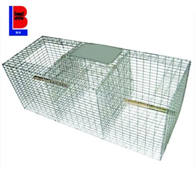 China Viable Trap To Catch Humane Pest Birds Wire Bird Trap Cages for sale