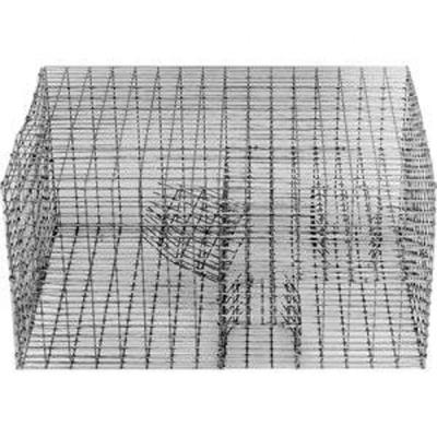 China Sparrow Control Trap Wire Viable Repeat Cage for sale