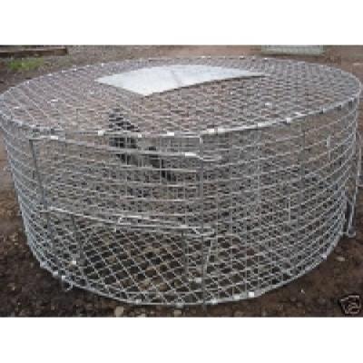 China Liebang Cheap Viable Live Bird Traps For Magpie Pigeons Recall Sparrows For Sale for sale