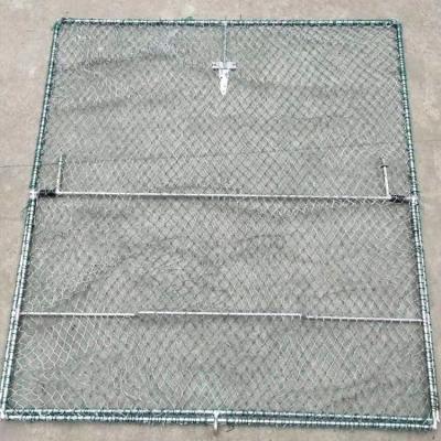 China Outdoor Foldable Net Live Trap Sparrow Pigeon Quail Bird Humanitarian Hunting Mesh Tools for sale