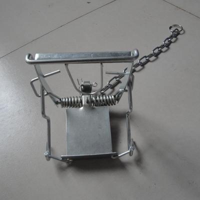 China Liebang Reasonable Price Control 430g Leg Catch Trap 140x50x120mm Coil Spring Viable Animal Trap For Indoor&Outdoor for sale