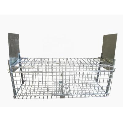 China Live Marten Cage Traps For Pest Viable Humanitarian Animals for sale