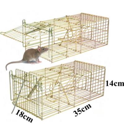 China Live Wild Animal Cage Trap Pests Viable Friendly Contagious Steel Wire Mesh Pest Control For Sale for sale