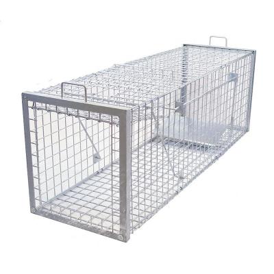 China Viable Collapsible Steel Trap Cages Humane Multi Live Animal Trap Cage Hook Large Animal Trap Cage for sale