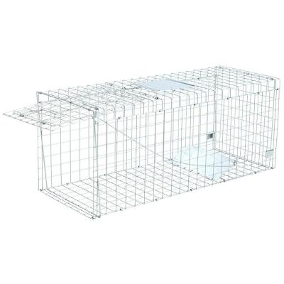 China Large/Fox Viable Collapsible Anti-rusty Collapsible Reusable Animal Cage Construction Dog's Trap Cage Humane Folding Trap for sale