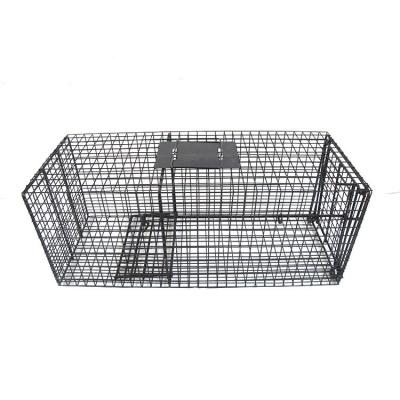 China Live Catch Animal Rat Cage Sustainable Use Large Metal Indoor And Humane Multi Rodent Trap for sale