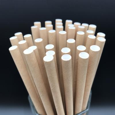 China Disposable Eco Friendly Disposable Drinking Paper Straws for sale