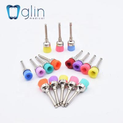 China Glin Colorful Dental Brush Metal Prophy Brush Dental Polishing Cup for sale