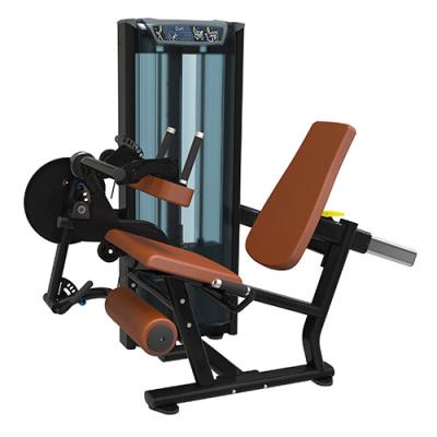 China Commercial Use Best Selling Strength Equipment Gym Equipment Pin Loaded Dual Function Seated Leg Loop Extension for sale