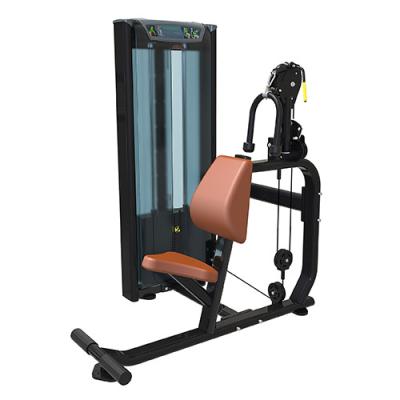 China 2022 Commercial Use Best Selling Strength Equipment Gym Equipment Pin Loaded Abdominal Crunch for sale