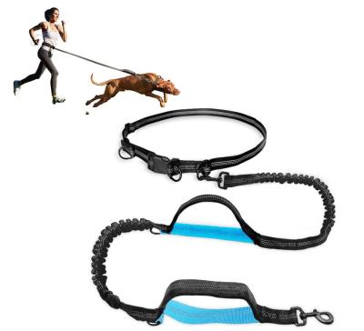 China Manufacturer Wholesale Reflective Padded Nylon Hands Free Dog Leash For Dog for sale