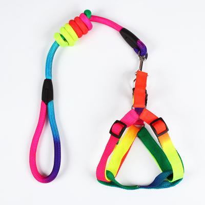 China New Padded Dog Collars Nylon Rope Belt Chain Dog Padded Colorful Pull Around Training Leashes for sale