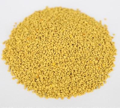 China Health Care Food Grade Organic Wholesale 100% Natural Rape Bee Pollen for sale