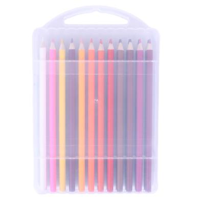 China Custom School Student Logo Sketch Pencil Set For School Student Stationery 24c Professional Neon Colored Pencil Set With PVC Box Package for sale