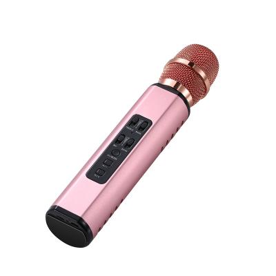 China 2022 Wireless Handheld Microphone Hot Selling Microphone Radio 240*48MM Radio Microphone for sale