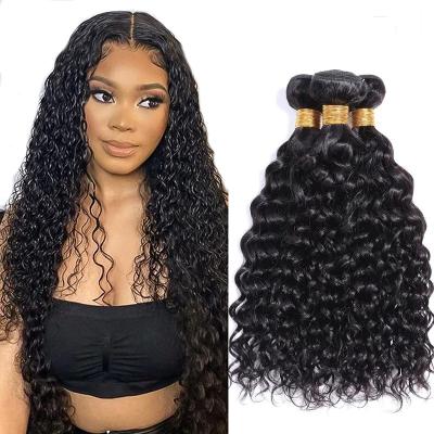 China Silky Straight Brazilian Hair Water Wave Bundles 100% Virgin Unprocessed Double Weft Drawn Human Hair Tangle Free Bundle For Women for sale