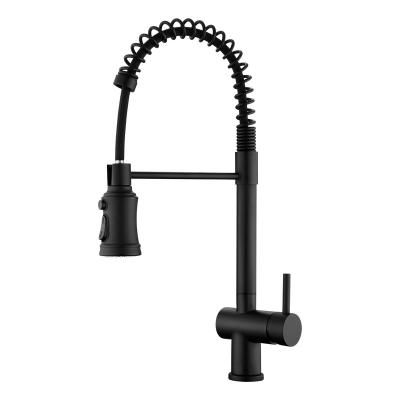 China Pull Out Spray Factory Direct Cheap Price High Quality Metered Stainless Steel Kitchen Sink Faucet Deck Mounted Mixer Tap for sale