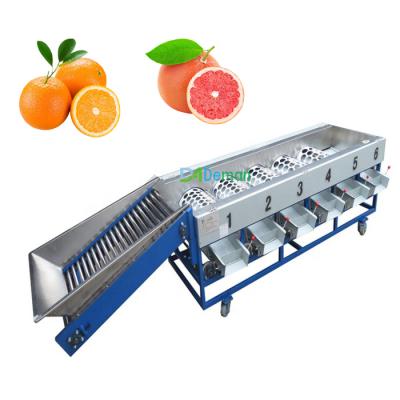 China Automatic Feeding Plant 3t/h Roller Type Pomegranate Kiwi Separator Grapefruit Sorter Fruit Processing Sorter for sale