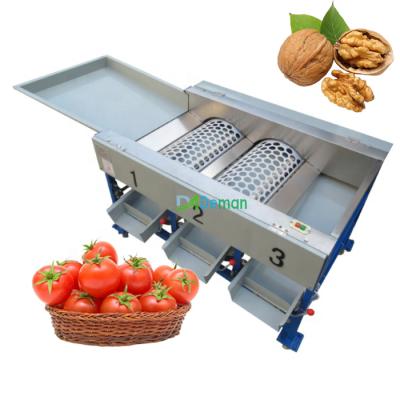 China Fruit Processing Plant Garlic Sorter Sorter Small Coconut Jujube Harvester Nut Grader Orange Grading Machine for sale